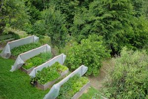 the vegetable garden with the chests that you can visit, you can sit there, read, meditate or help to give water, collect or remove weeds at Casa Payer in Luserna San Giovanni