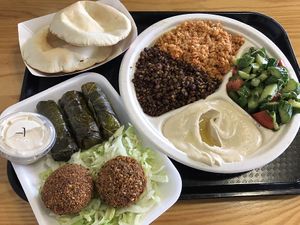 Delicious vegetarian sampler but all vegan ! at Woody's Oasis in East Lansing