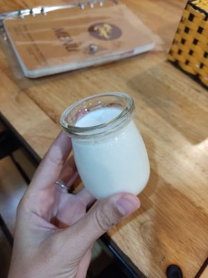 Yogurt (try it, super good!) at Tam An Lac - Hoan Kiem in Hanoi