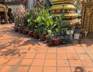  at Tam An Lac - Hoan Kiem in Hanoi