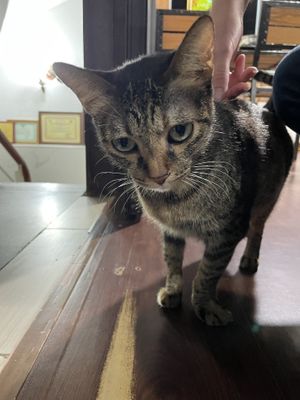   at Tam An Lac - Hoan Kiem in Hanoi