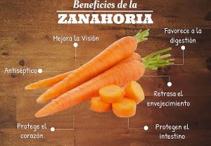 BENEFICIOS DE CONSUMIR ZANAHORIA at Verde Vital in Bogota