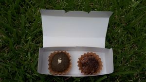 Rice cakes with yummy topping at Hobodo Cafe in Kyoto