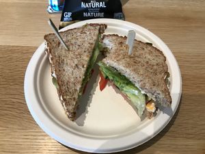 Veggie sandwich at Sprouted Oven in Abbotsford