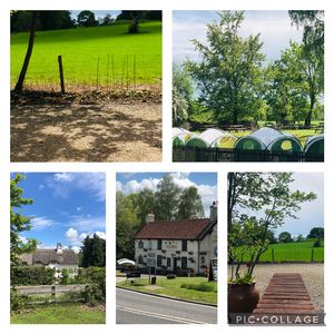 The pub itself  at The Swan Inn in Lyndhurst