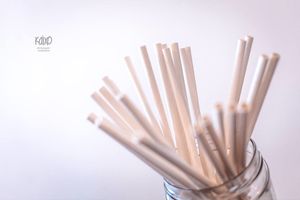 paper straws! at Kaixo in Playas Del Coco
