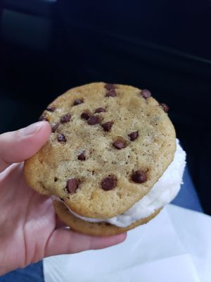  at Sunshine Sammies in Asheville