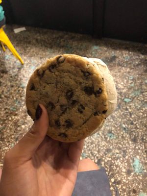   at Sunshine Sammies in Asheville