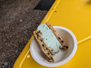 Vegan mint chocolate chip with chocolate chip cookie sandwich at Sunshine Sammies in Asheville