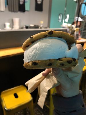 chocolate chip cookies with vanilla ice cream at Sunshine Sammies in Asheville
