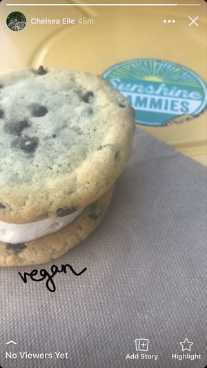 Vegan ice cream sammy!! at Sunshine Sammies in Asheville