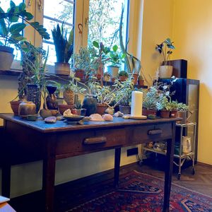 Ilość roślinek spełnia oczekiwania 🪴 at Eden Bistro in Warsaw