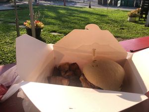 Chicken sandwich  at Vegelicious in Nashville