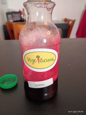 Sorrel at Vegelicious in Nashville