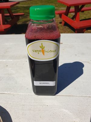 Homemade sorrel at Vegelicious in Nashville