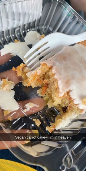 The best carrot cake I have had. Even better since it’s vegan  at Vegelicious in Nashville