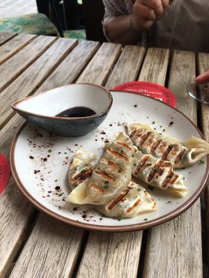 Gyozas at Amarre 69 in Barcelona