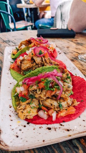  at Amarre 69 in Barcelona