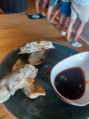 Gyozas at Amarre 69 in Barcelona