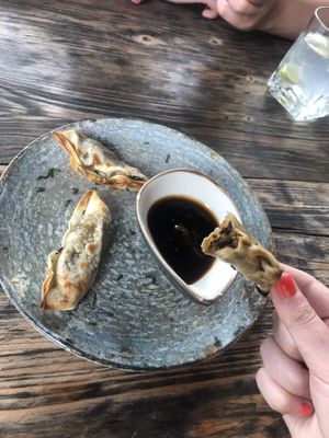 Gyoza  at Amarre 69 in Barcelona