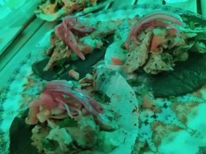  at Amarre 69 in Barcelona