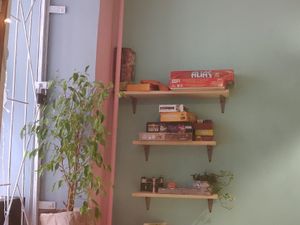 Board games at Hi Mir Vegan Cafe in Nizhny Novgorod