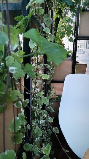 
summer playground at K'Lab Coffee in Brest