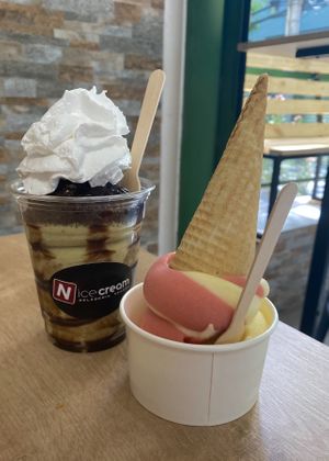 Elementa y heladito #Veganuary at NiceCream in Santiago