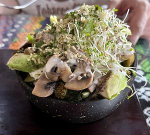 green bowl at Wachuma in Antigua