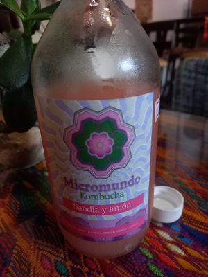 Kombucha for 25 Q at Wachuma in Antigua
