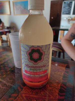 Watermelon and lemon Kombucha at Wachuma in Antigua