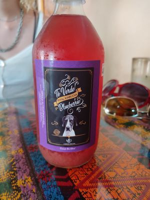 Blueberry Kombucha at Wachuma in Antigua
