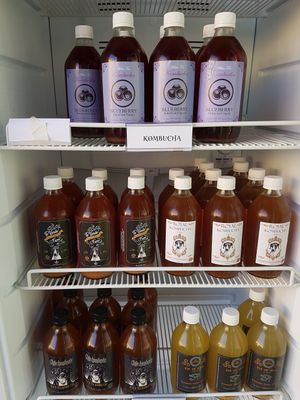 KOMBUCHAS at Wachuma in Antigua