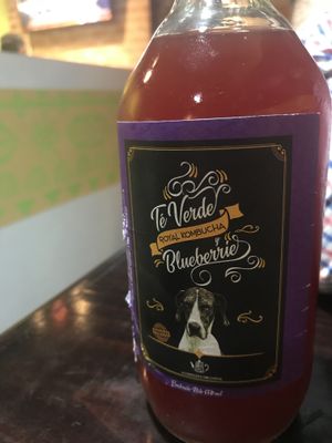 Delicious Kombucha at Wachuma in Antigua