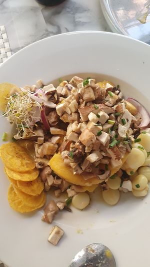 Causa Acevichada at Los Andenes Vegan in Madrid