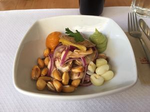 Ceviche peruano at Los Andenes Vegan in Madrid