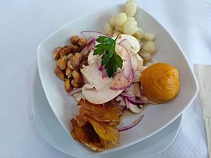 First course: Ceviche at Los Andenes Vegan in Madrid