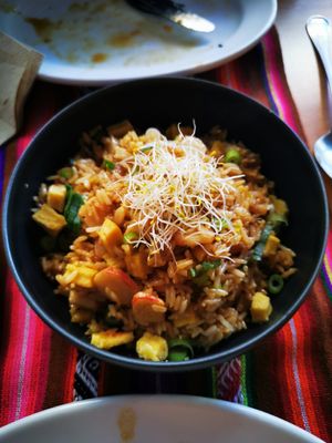 Chaufa at Los Andenes Vegan in Madrid