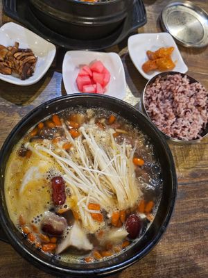 Samgyetang with rice ~ 10/5/24 at Daehwa Vegetarian in Central Singapore