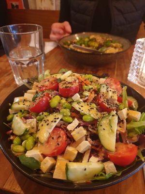 Miso salad at SOIL Vegan Cafe - West in Amsterdam