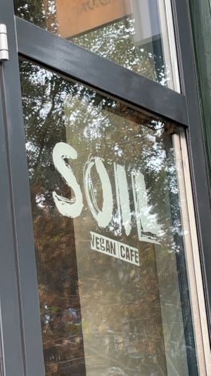  at SOIL Vegan Cafe - West in Amsterdam