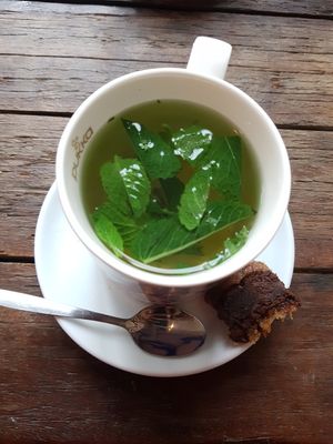 Fresh mint tea at SOIL Vegan Cafe - West in Amsterdam