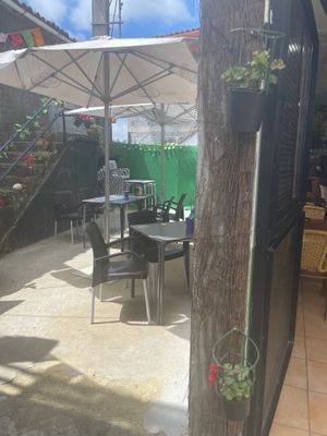 Side outside area  at Taberna do Farruco in A Coruna