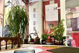 Entrada al restaurante. #Veganuary at El Piano in Granada