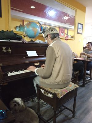 Pianista maravilloso at El Piano in Granada