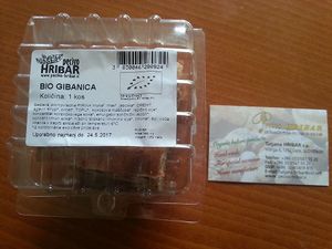 Organic and vegan gibanica.

Photo by: Tanja Nika on Facebook at Pecivo Hribar in Vace