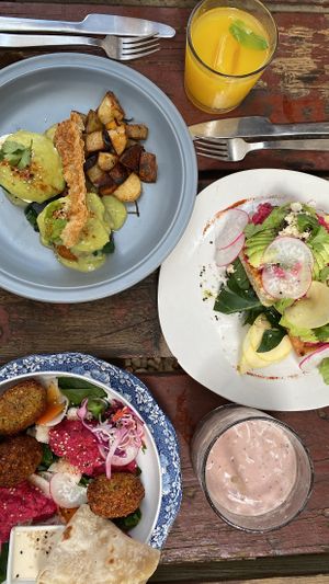 The falafel bowl ! 🌱 #Veganuary at Chaya & Cacao in Isla Mujeres
