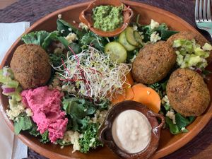 Falafel lunch! So delish!  at Chaya & Cacao in Isla Mujeres