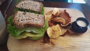 A tasty sandwich at Chaya & Cacao in Isla Mujeres