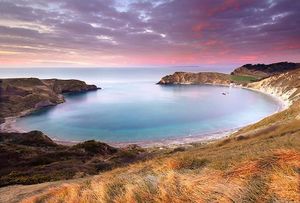Beautiful Lulworth Cove  at Finleys Cafe in Wareham